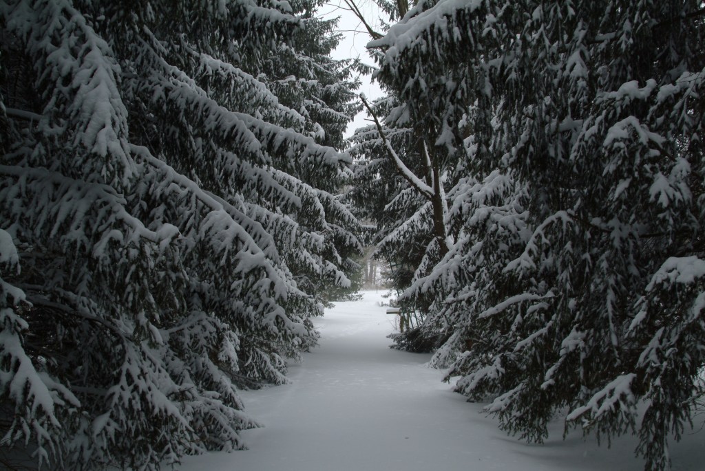 Fargo – Binge-Worthy&nbsp;TV