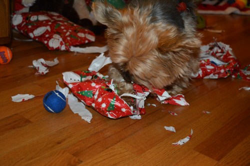 I love opening presents!