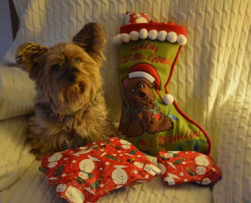 Enough with the pictures, is it time for presents?