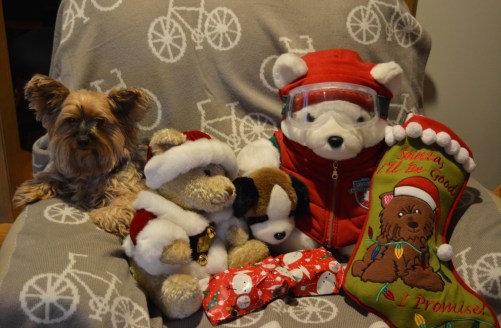 I am not sharing my stocking with the Santa Bear!