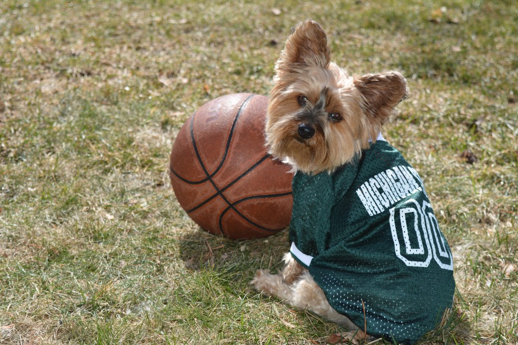 NCAA March Madness – Where It All&nbsp;Began