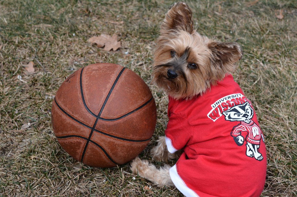 Wisconsin Advances to the NCAA March Madness National Championship&nbsp;Game
