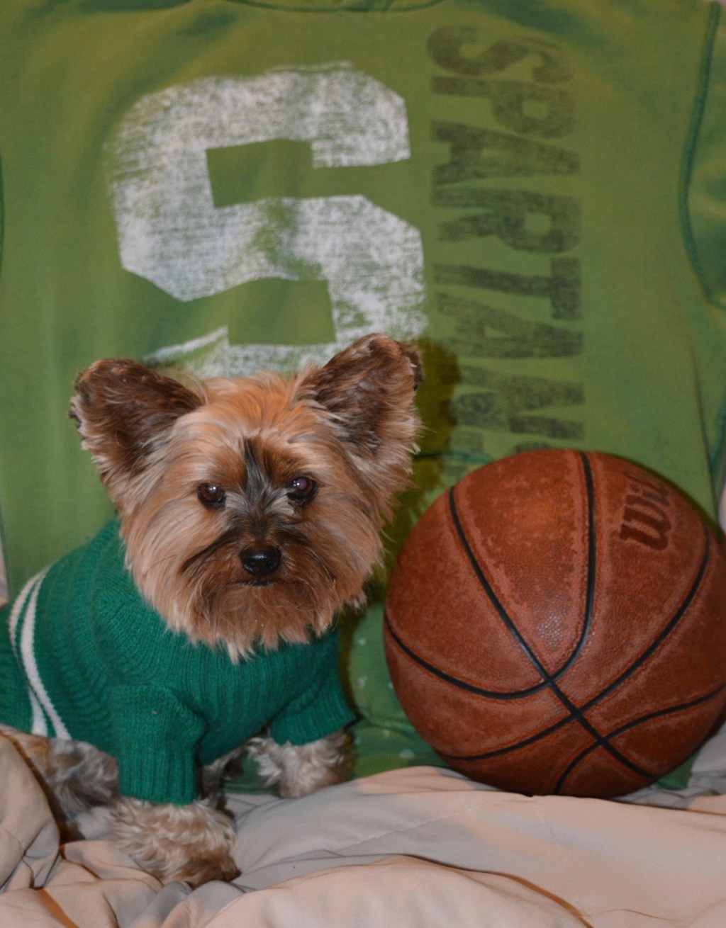 NCAA March Madness Musings and Highlights&nbsp;(3/20/15)