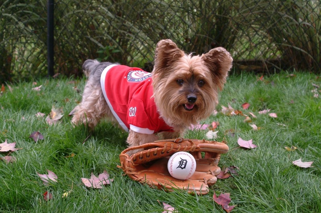 Bryce Harper Powers Nationals to Win with 3 Home&nbsp;Runs