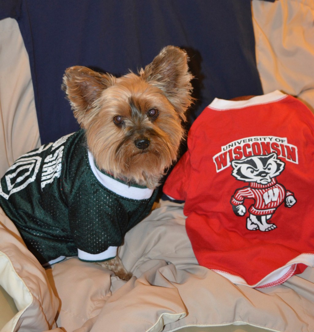 Gabby’s NCAA March Madness Final Four&nbsp;Analysis