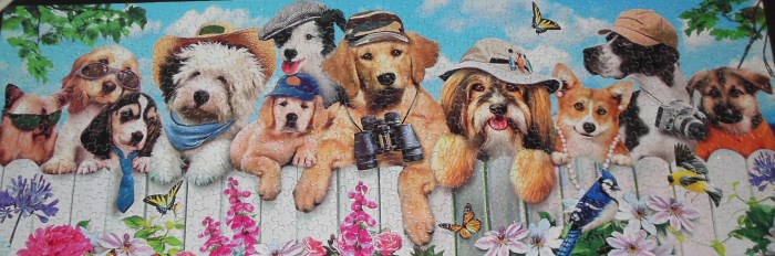 Gabby's Favorite Puzzle