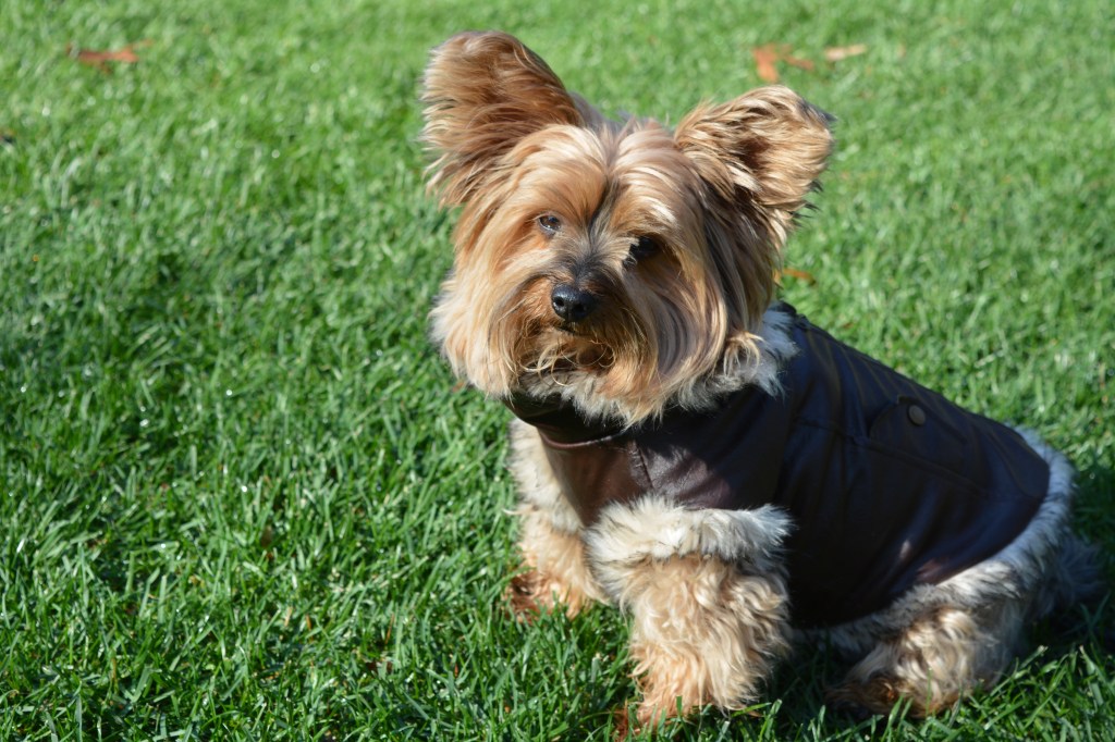 “Nothing is Impossible, the Word Itself Says I’m Possible!” – Audrey&nbsp;Hepburn