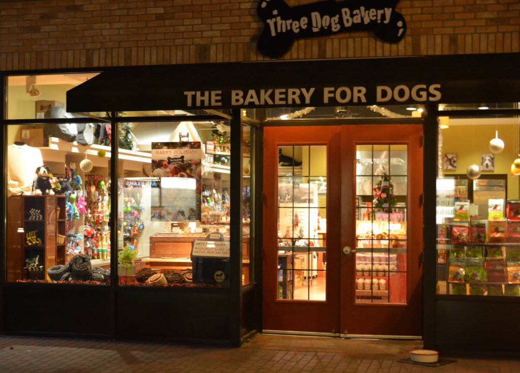 Bear With Me While I Wait For Santa