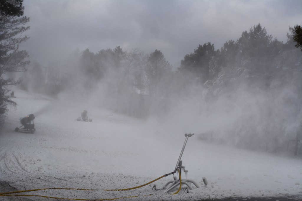 Mother Nature’s Little&nbsp;Helpers