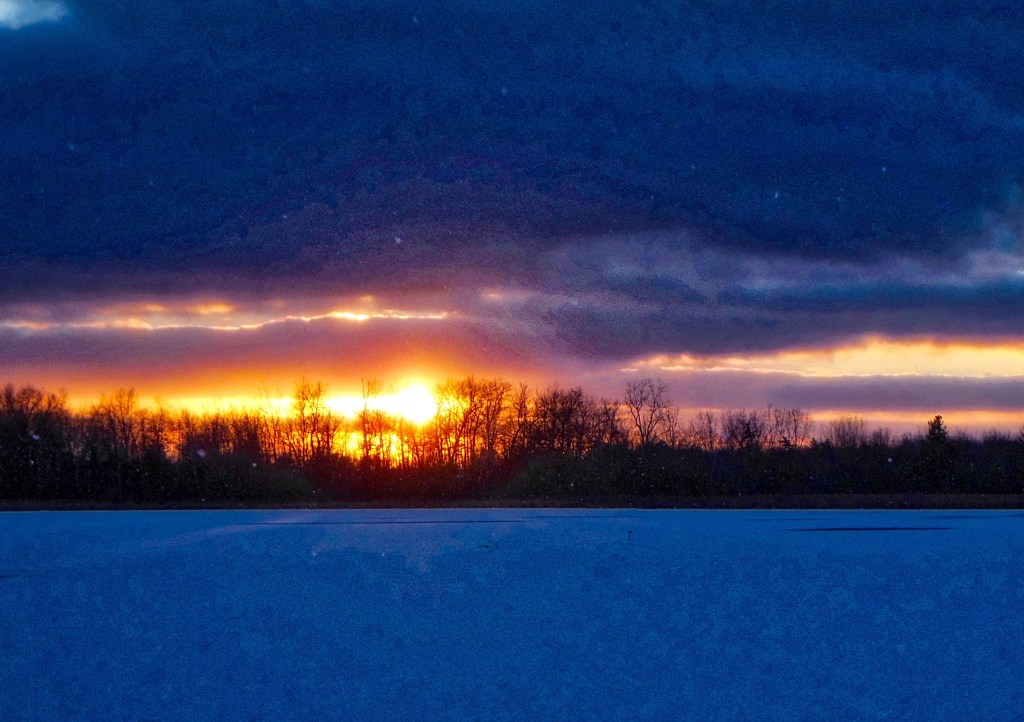 Celebrating Denver Broncos Blue and&nbsp;Orange