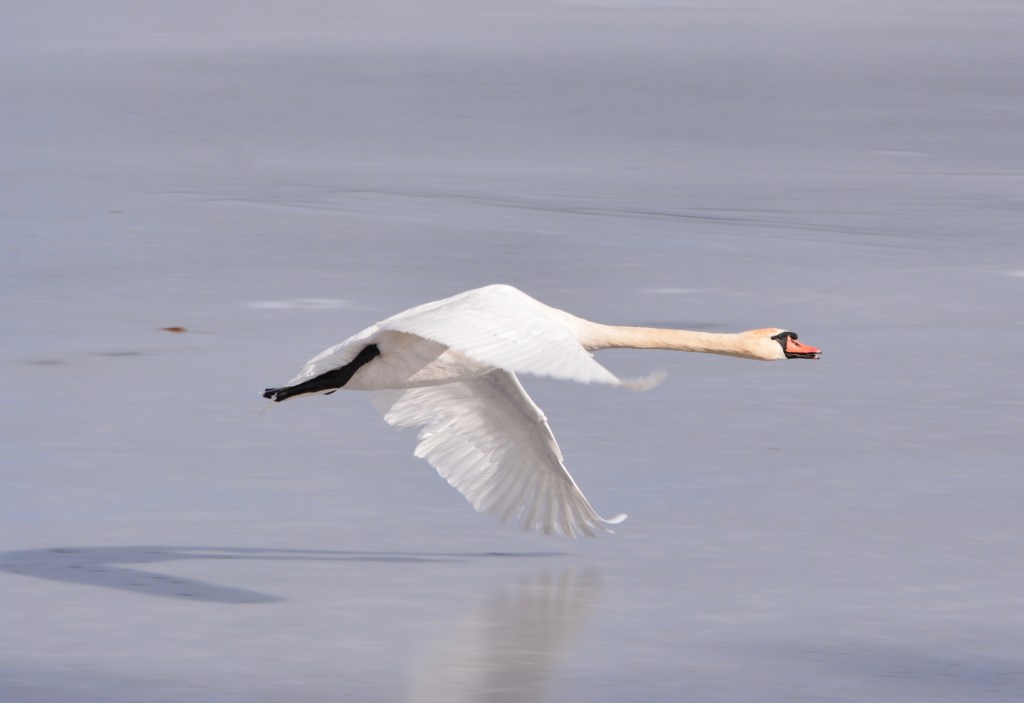 “I’m Late, I’m Late, For A Very Important&nbsp;Date!!”