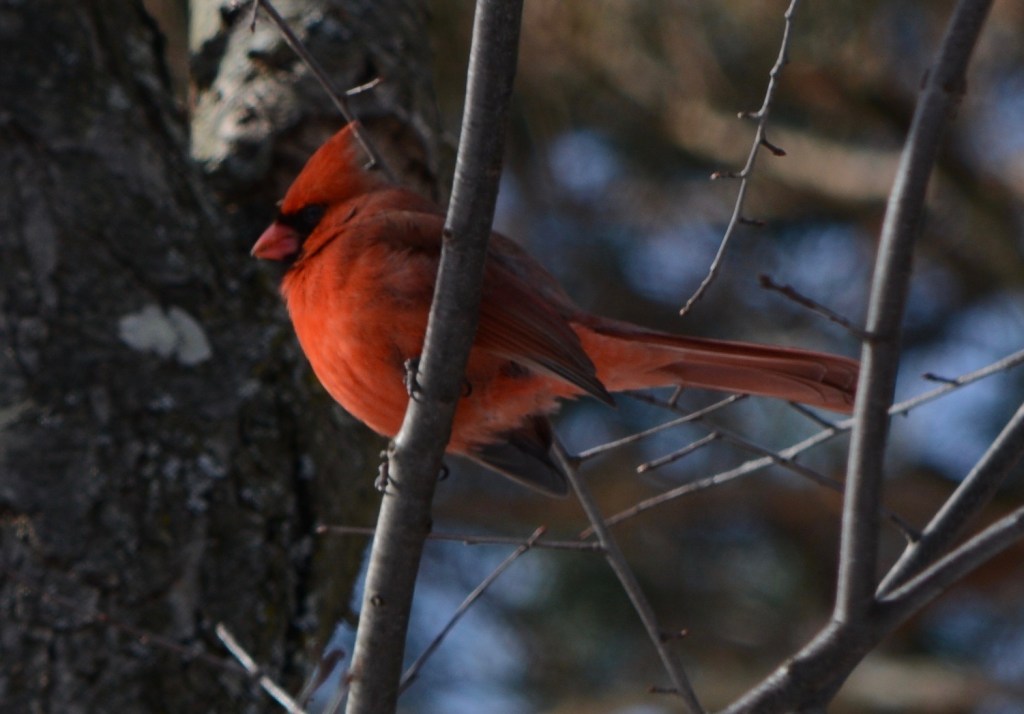 Is This My Best&nbsp;Side?