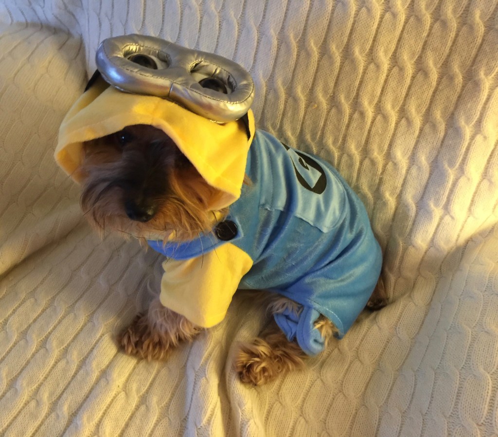 Buddies, Buddies, It’s Paczki&nbsp;Day!!