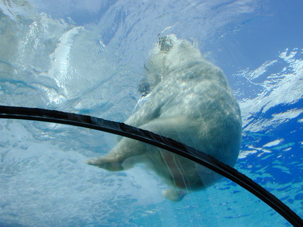 Nature’s Musings On Leap&nbsp;Day