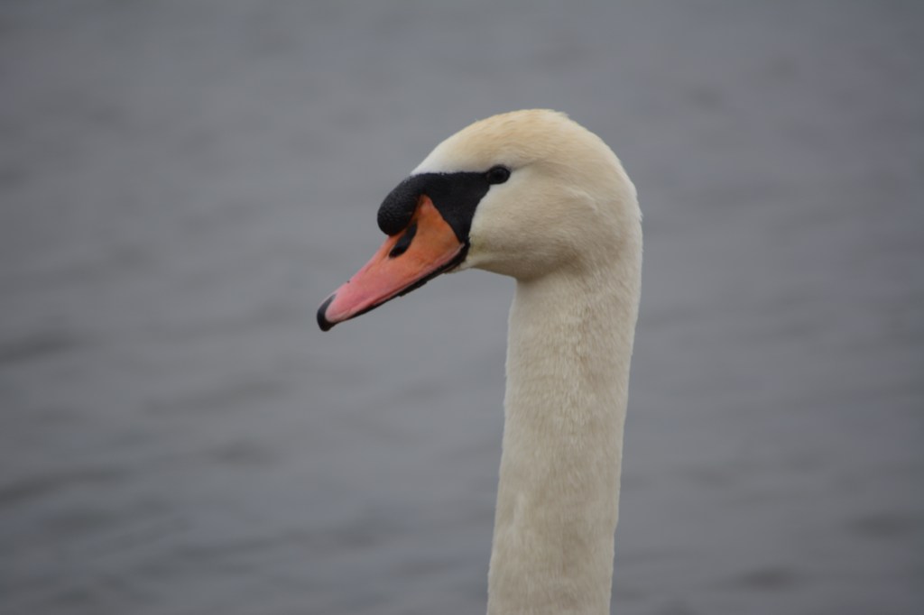 Beauty Is In The Eye Of The&nbsp;Beholder