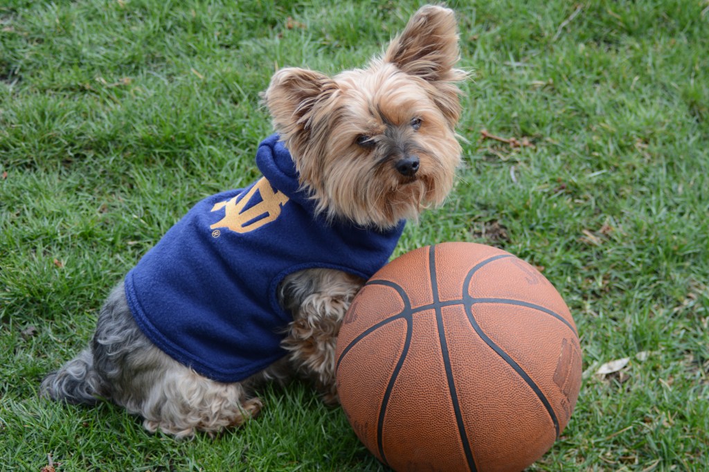 Getting Ready For The Big&nbsp;Game