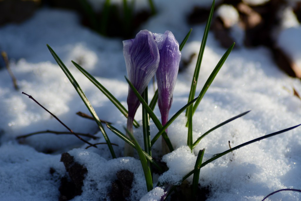 What A Difference A Day&nbsp;Makes