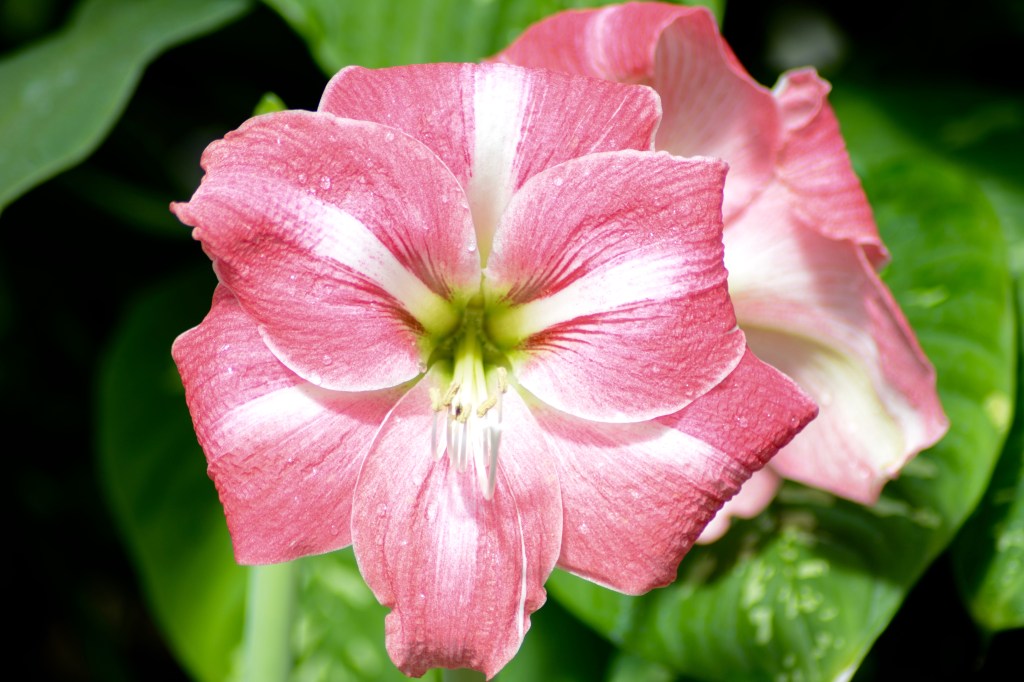 A Different Point Of&nbsp;View