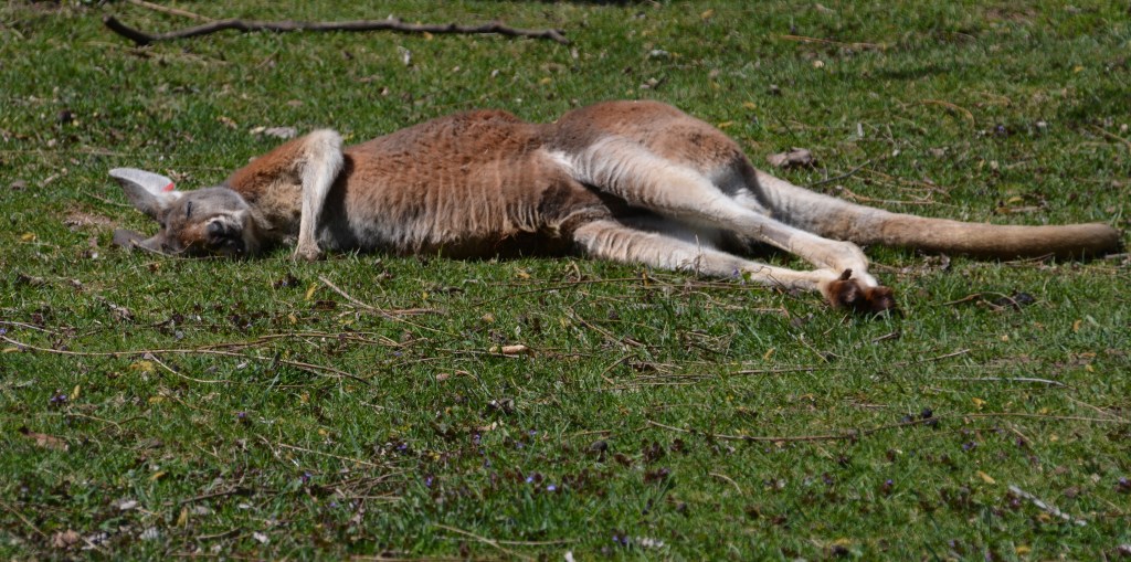 It’s Five O’Clock&nbsp;Somewhere