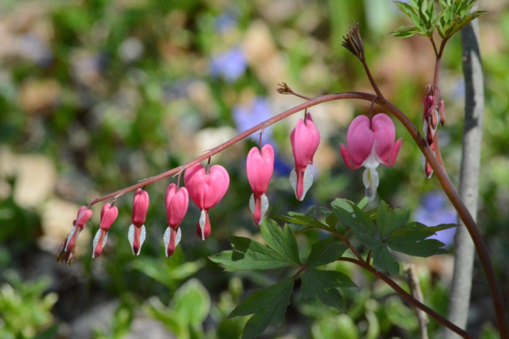 Love As Fickle As The&nbsp;Wind