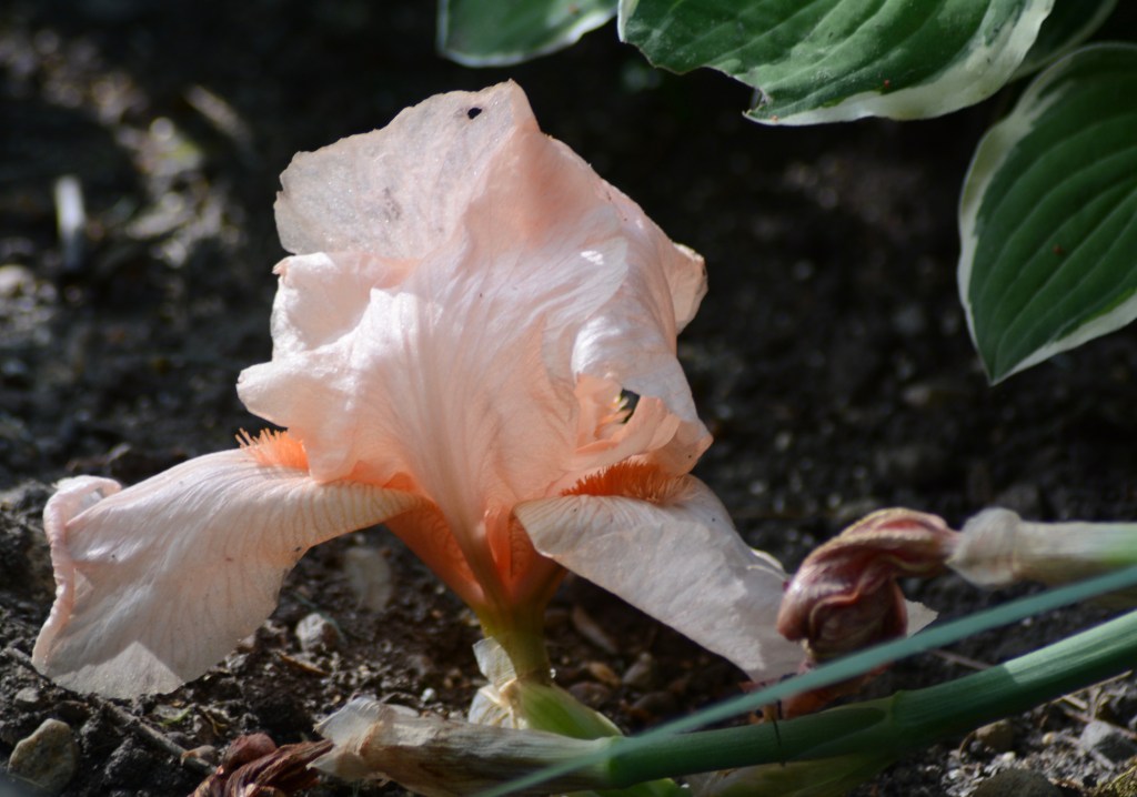 Looking Good, Even When Life Knocks You&nbsp;Down