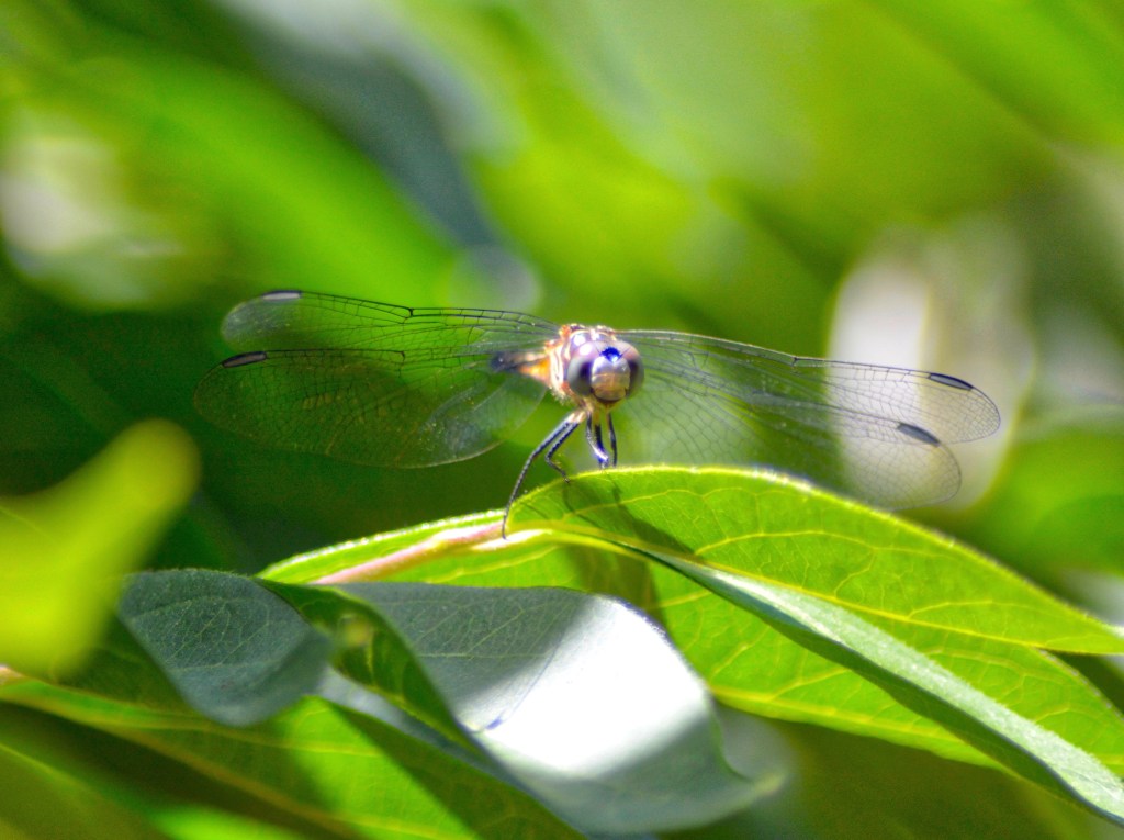 Trust Me, I’m Just As Surprised As&nbsp;You