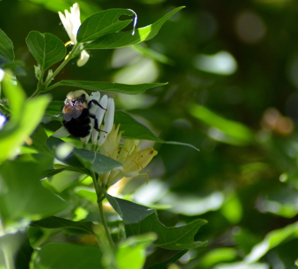 I’ve Got This Covered