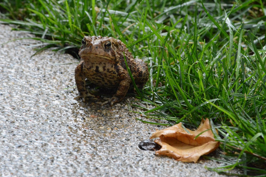 Looking A Little Cranky On This Rainy&nbsp;Monday