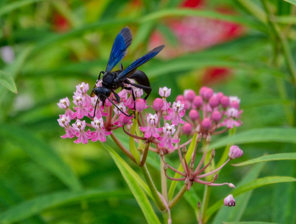 Not Fooled By Your Pretty Color