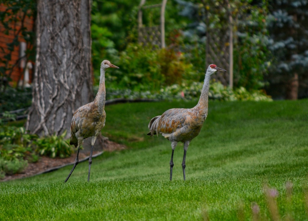 It Took All Summer To Find&nbsp;You