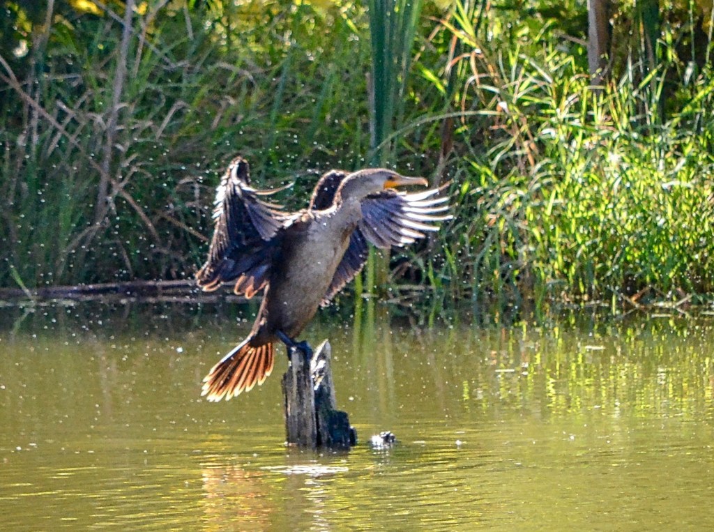 Lessons Learned During Outdoor Photography Shots