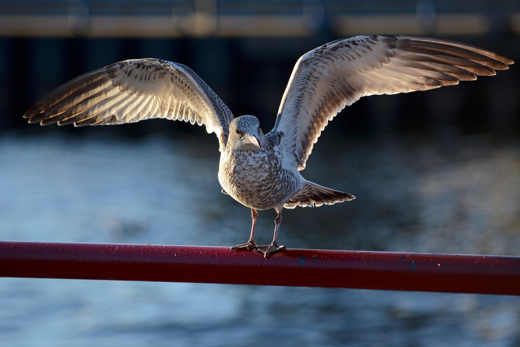 Let Your Light Shine&nbsp;Down