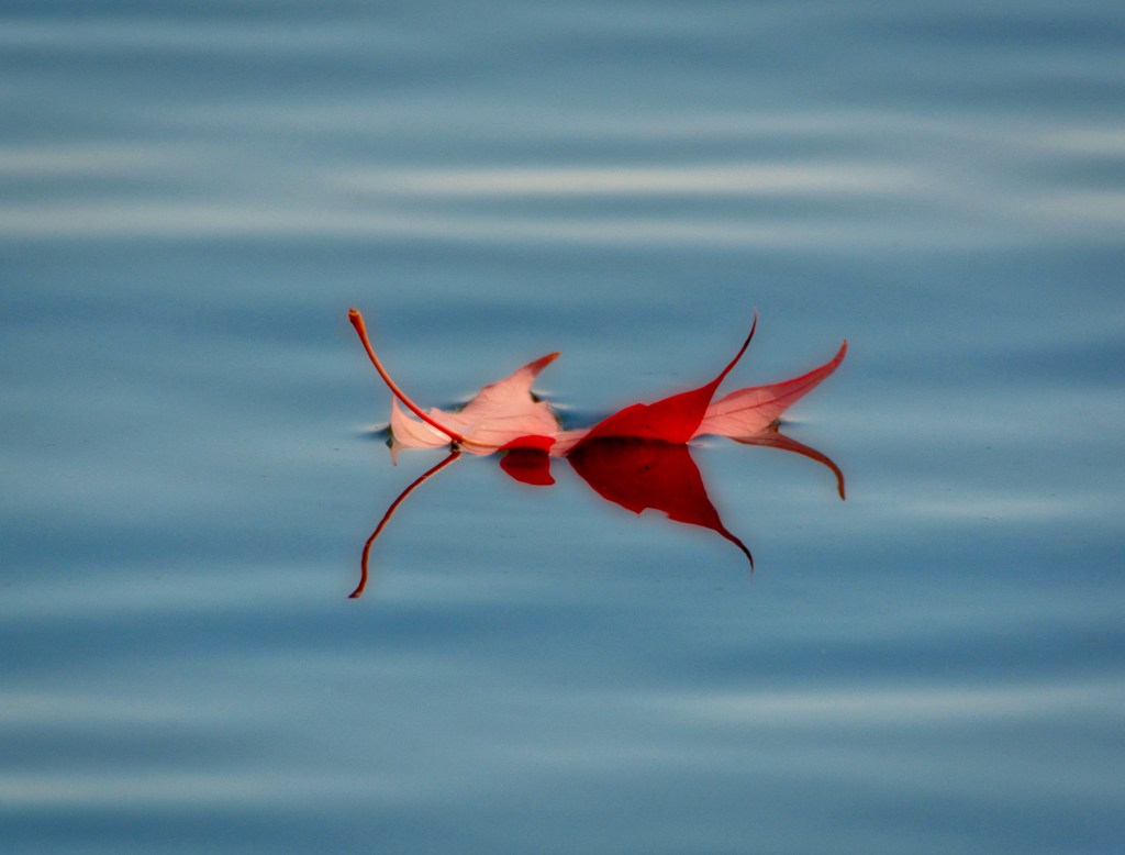 Reflections Of Autumn