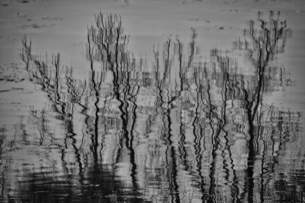 Dark Days Of&nbsp;Autumn