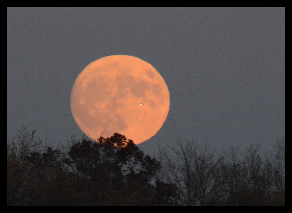 Fly Me To The&nbsp;Moon