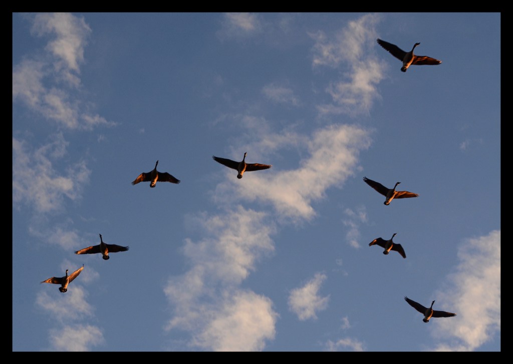 I Just Know There’s One In This Group Asking ‘Are We There&nbsp;Yet?’