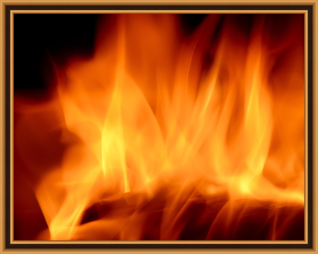 Musings On Thanksgiving&nbsp;Day