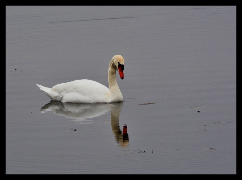 Mirror Mirror On The Lake, Is Michigan The Grayest State Of&nbsp;All?