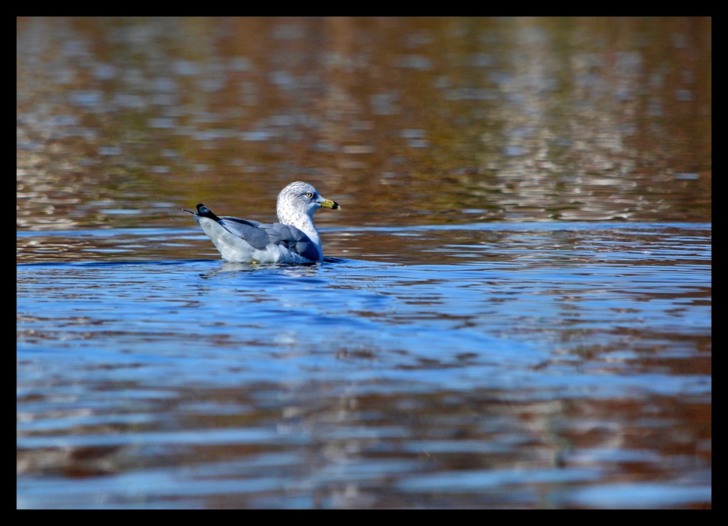 Solitude – Six Word&nbsp;Story