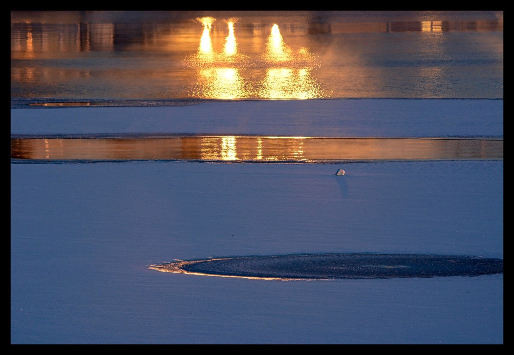 On Thin Ice – Six Word&nbsp;Story