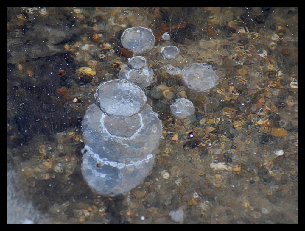 Break Free – Six Word Story