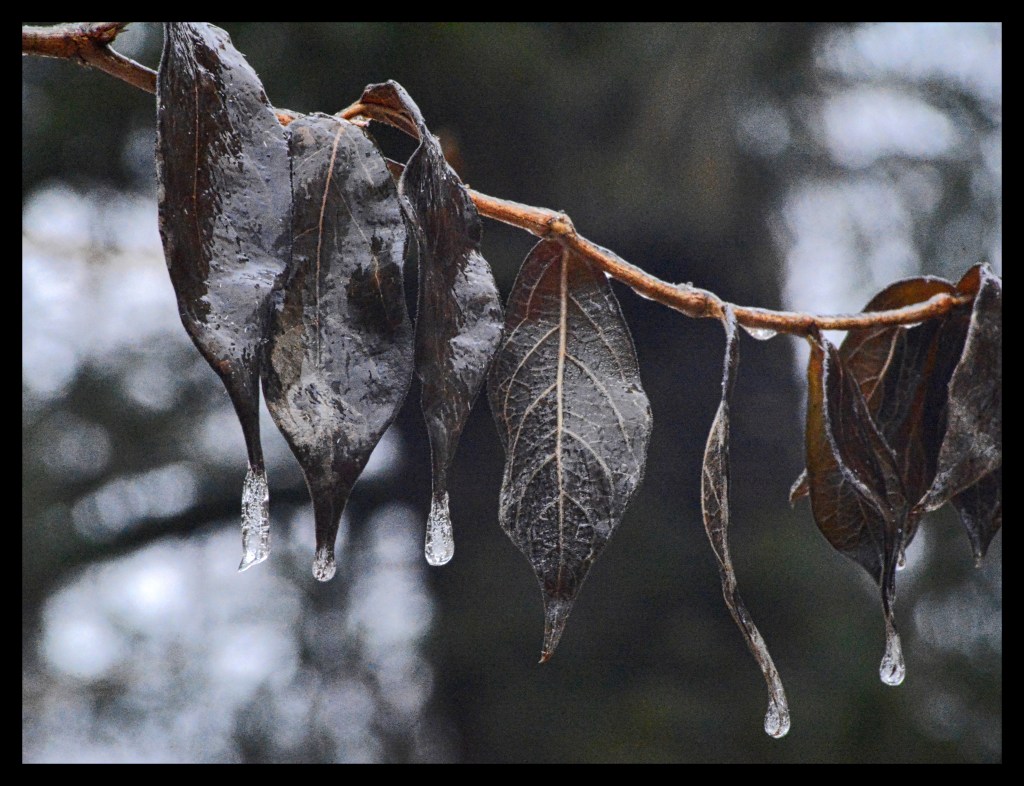 Hung Up To&nbsp;Dry