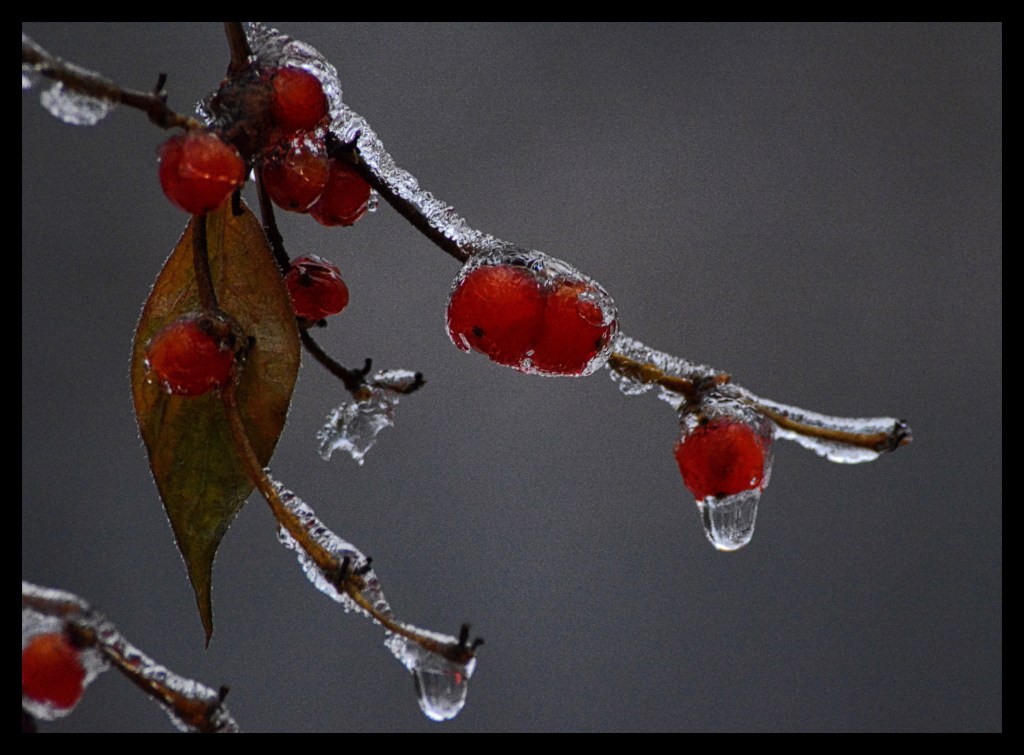 A Few Photos and&nbsp;Thoughts