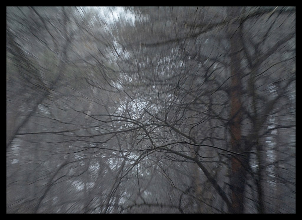 Fog – Fifty Word&nbsp;Story