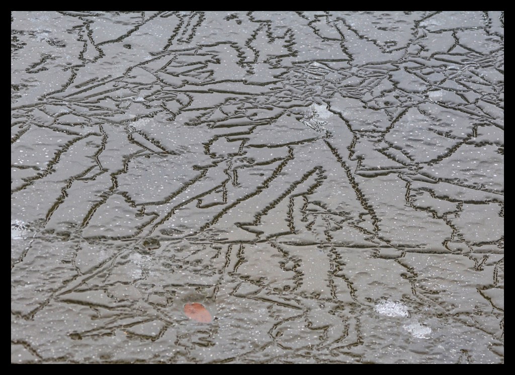 Nature Playing Etch A Sketch