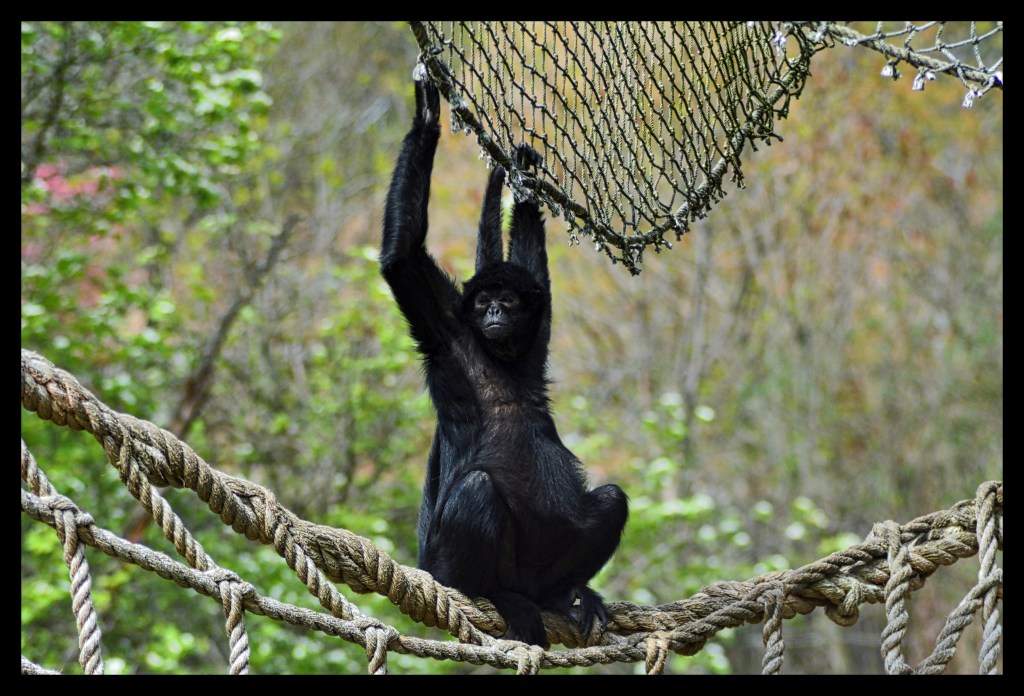 Just Hanging Out And Watching The&nbsp;Sky