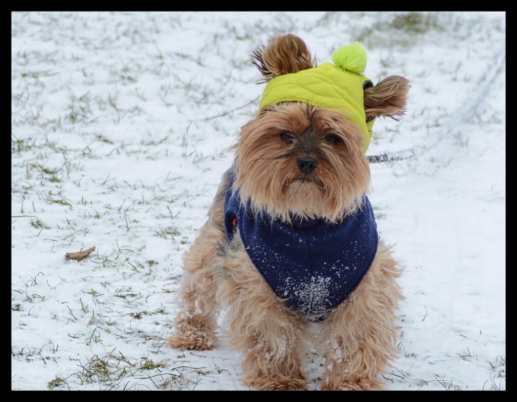 Winter Photos and Ramblings On Super Bowl&nbsp;Weekend