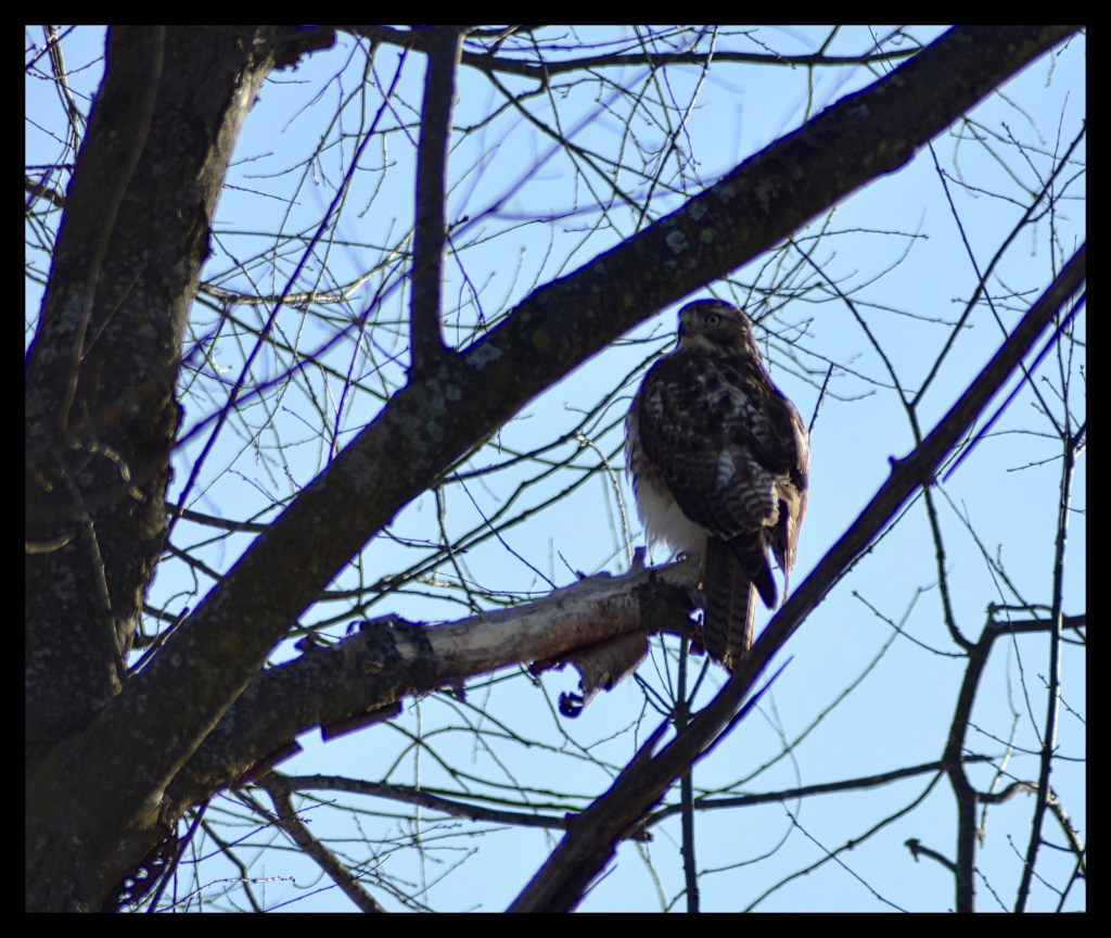 A Few Surprises From The&nbsp;Week