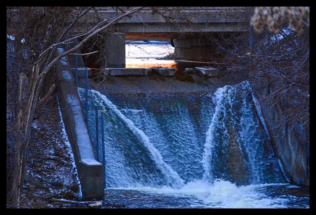 Nature’s Picture Window