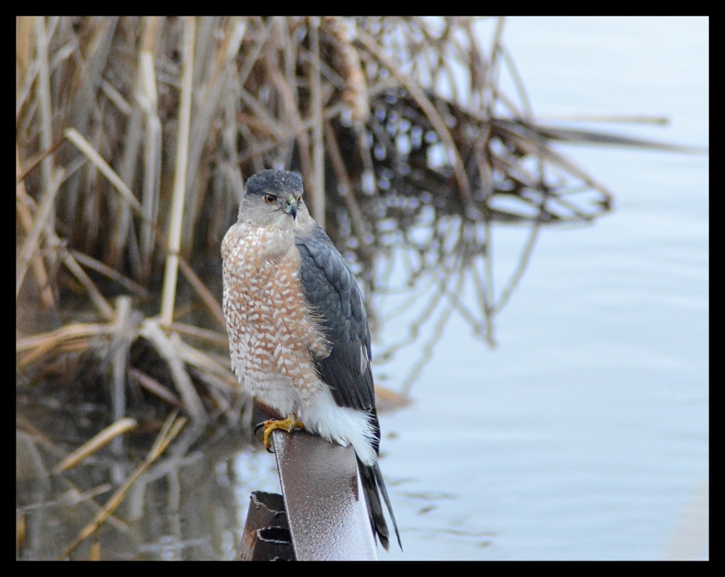 A Windy Day At The&nbsp;Park